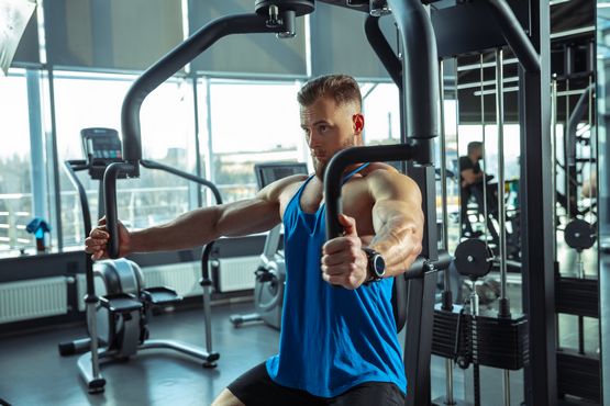 Ciclos de ganancia de masa magra: efectos de la ingesta Ciclos de ganancia de masa magra: efectos de la ingesta